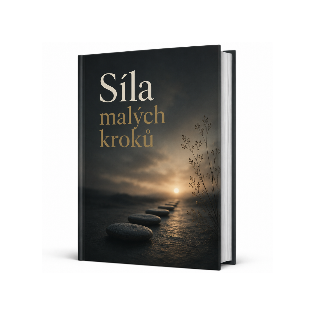 SÍLA MALÝCH KROKŮ E-KNIHA